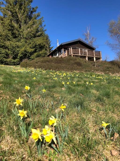 Le Chalet Des Coeurs Le Tholy Extérieur photo