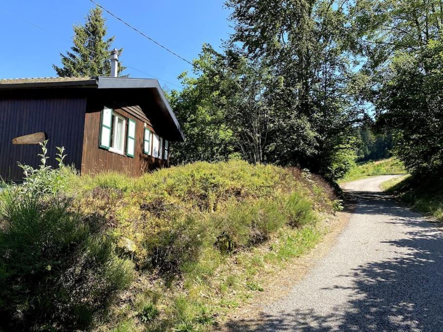 Le Chalet Des Coeurs Le Tholy Extérieur photo